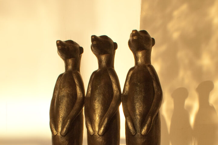 Mercats dans mon studio à Paris, lumière du couchant au mois de décembre