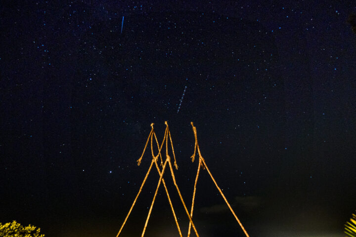 Marcheurs Dans Les Etoiles, Ndary Lo, sculpteur